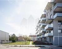 příjezd do Návarovská