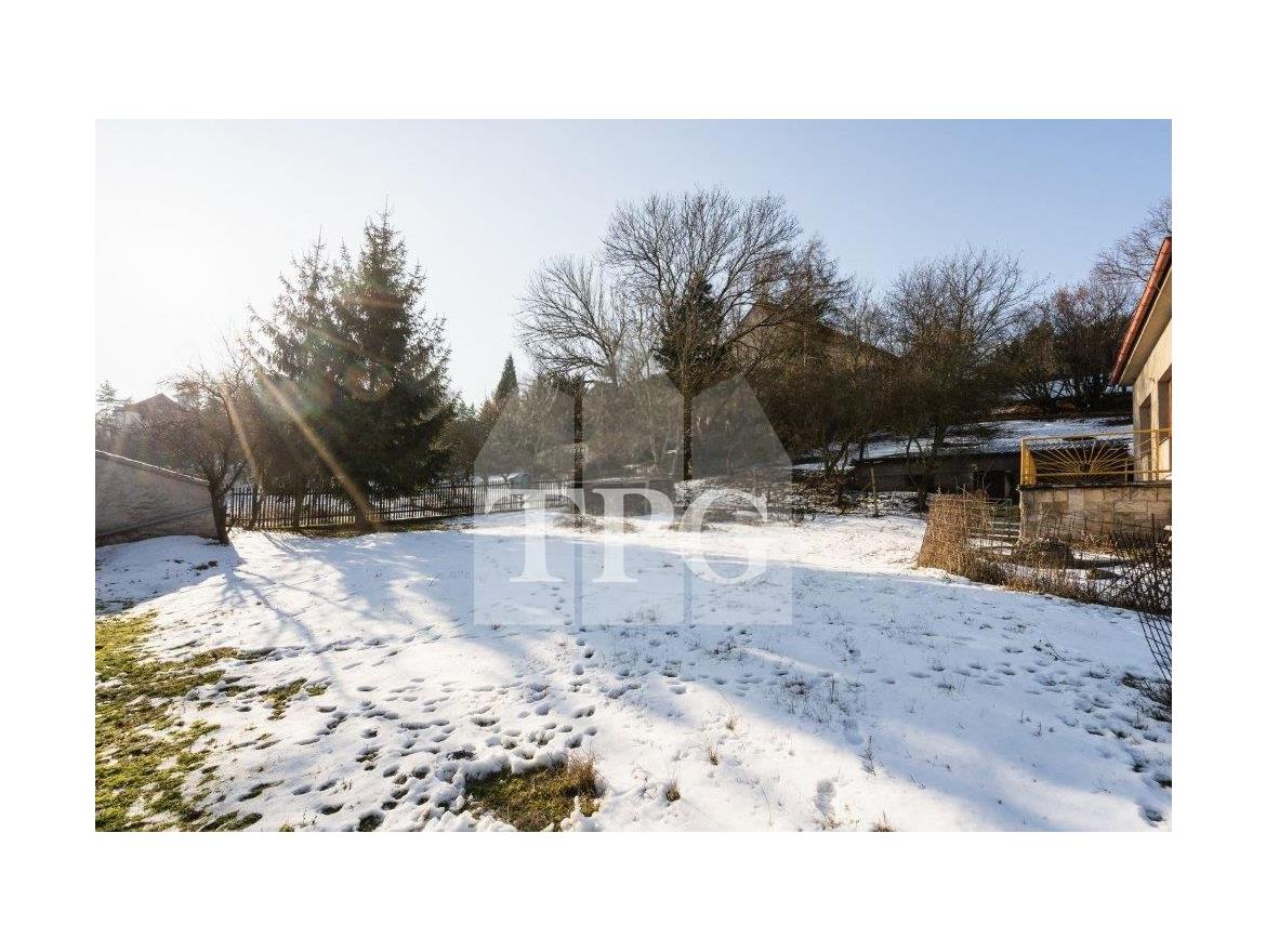 Snímek obrazovky 2026-01-23 105809