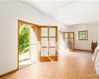 DSC05361-Edit