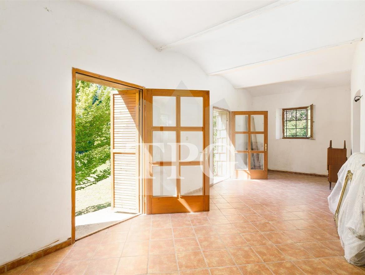 DSC05361-Edit