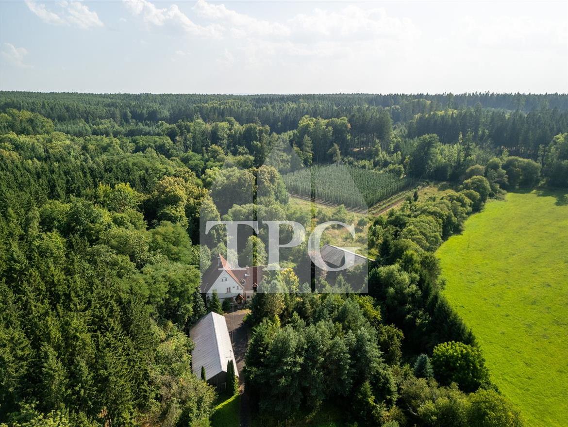 DJI_0537-HDR