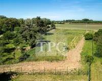 DJI_0026