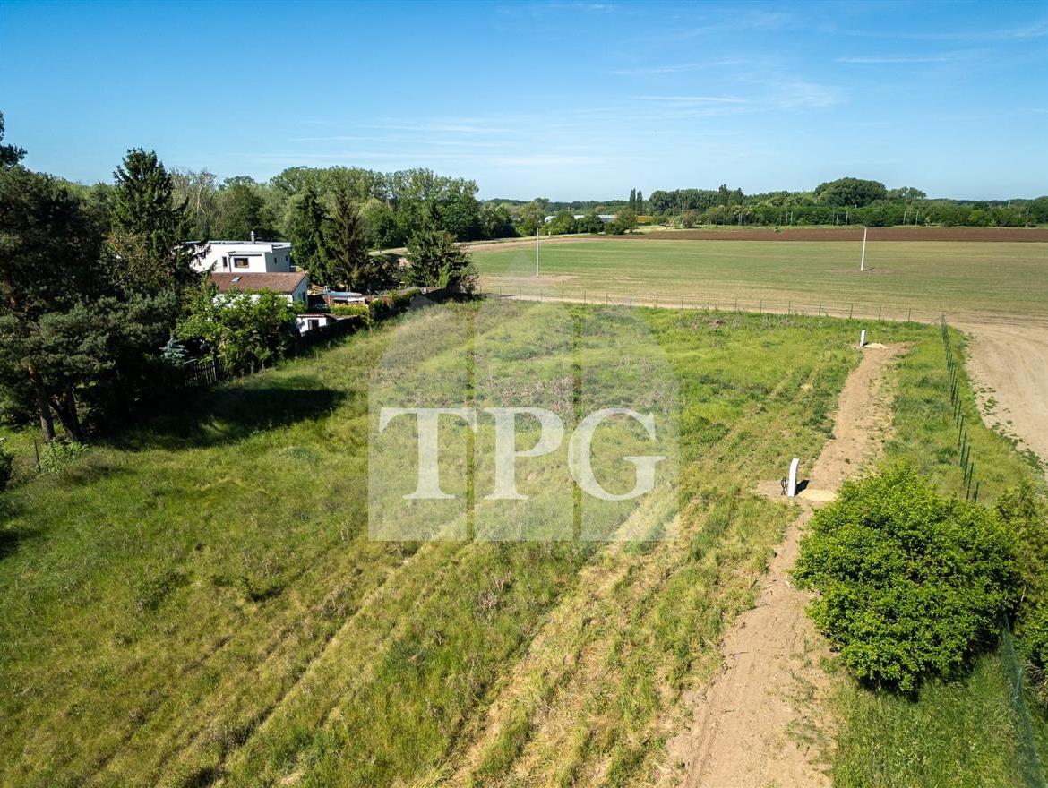 DJI_0028